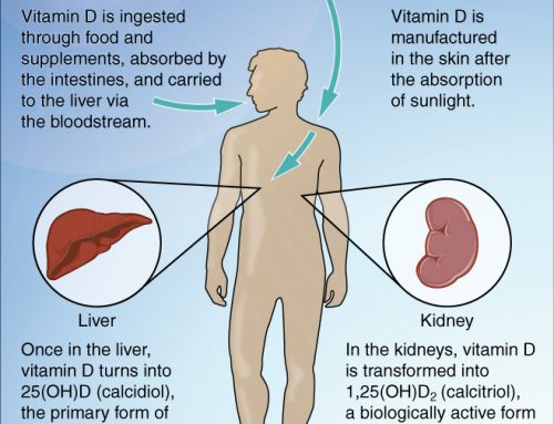 Vitamin D’s role in Health