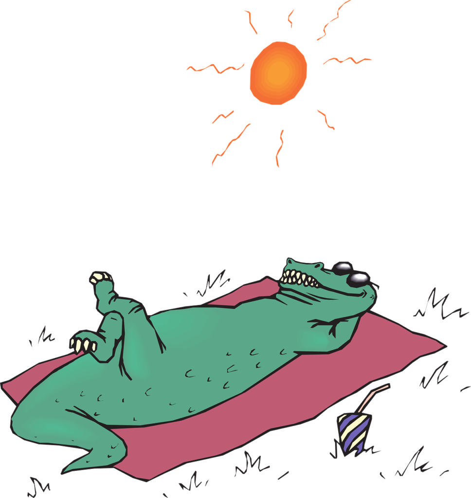 Alligator in the Sun